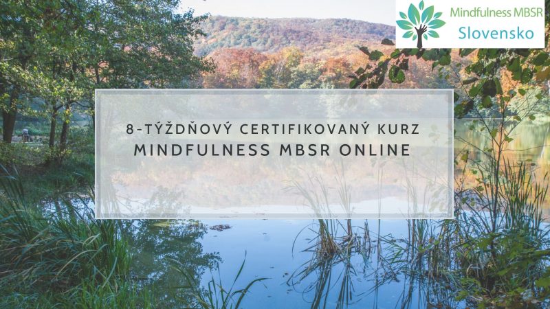 8 týždňový kruz Mindfulness online