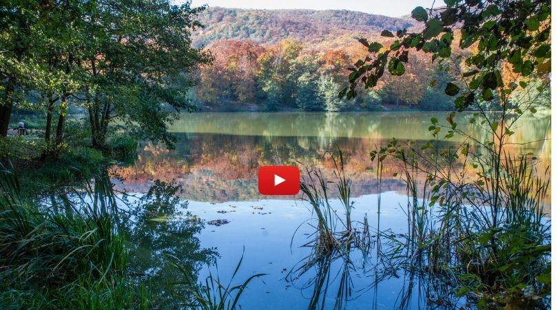 video benefity medtiácie mindfulness MBSR