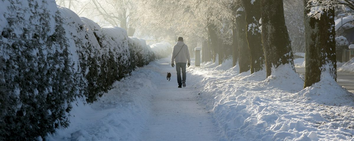 Všímavá chôdza v snehu - Mindfulness MBSR Slovensko