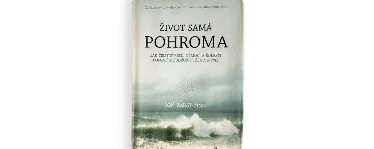 Kniha-život-samá-pohroma