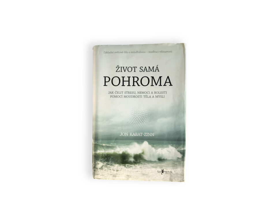 Kniha-život-samá-pohroma